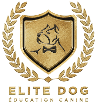 Elite dog