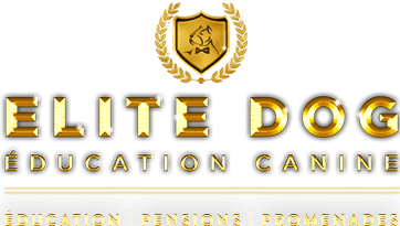 Elite Dog Logo